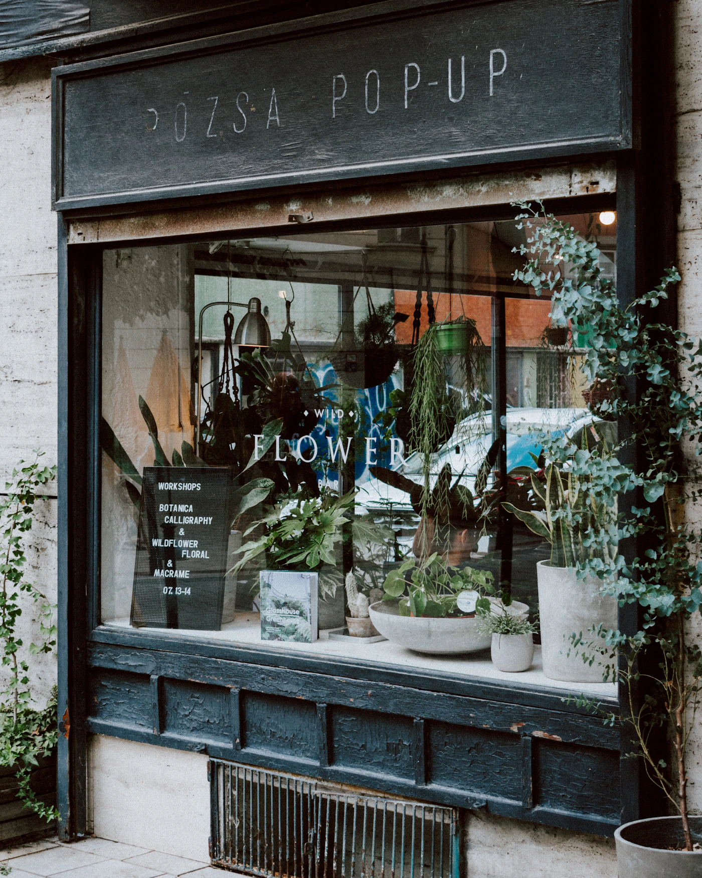 Fachada de floricultura com plantas e flores
